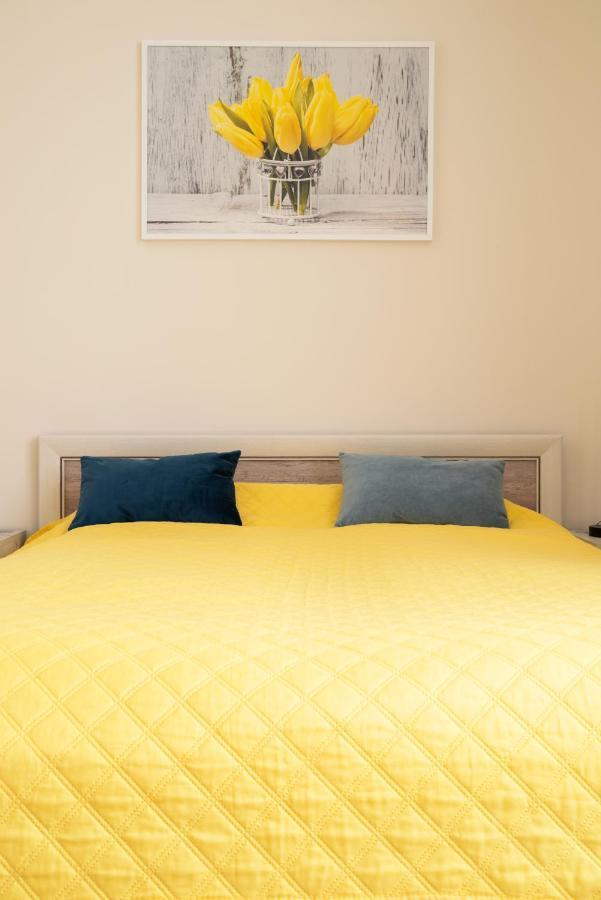 Apartament A1 Moderno Parking Stary Toruń 外观 照片