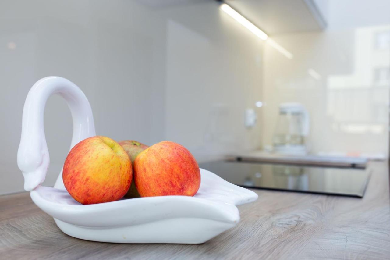 Apartament A1 Moderno Parking Stary Toruń 外观 照片